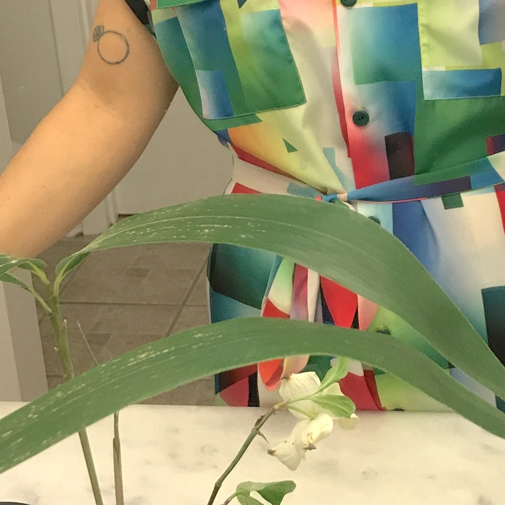 Meet your Posher, Stefanie